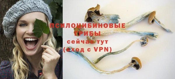винт Балахна