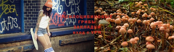 стафф Балабаново