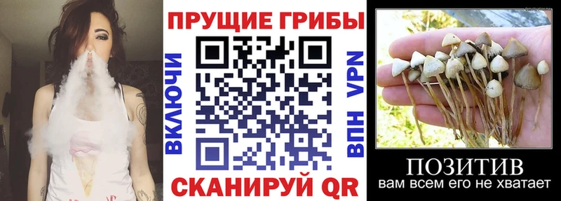 Галлюциногенные грибы прущие грибы  Усолье-Сибирское 